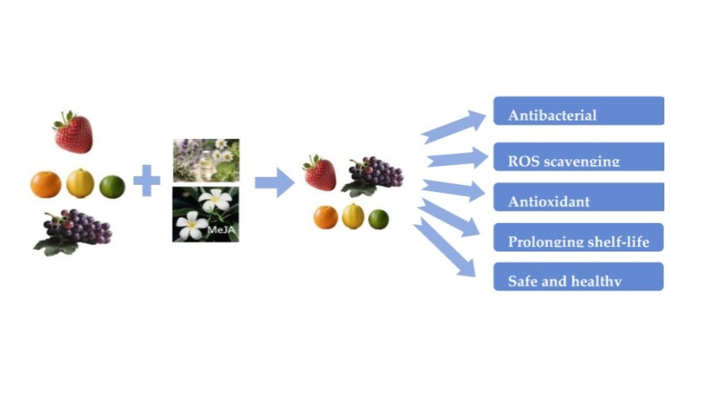 plants extracts ppal xar.jpg